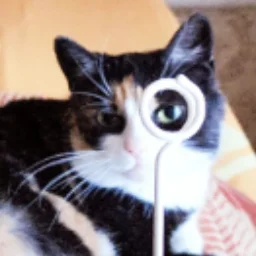 fotopisets