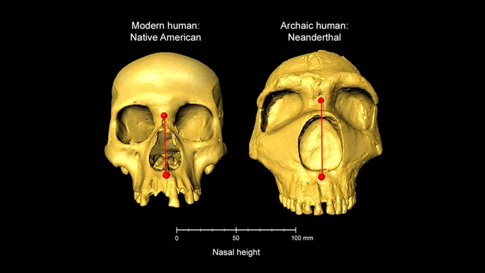 ������� ������ ������������ �������� � �������������. ����: Dr Kaustubh Adhikari, UCL