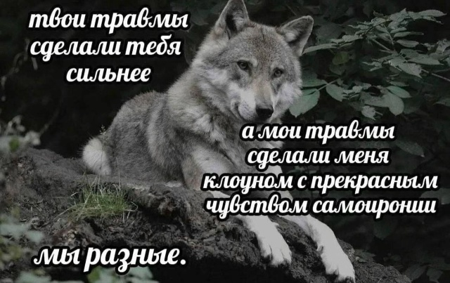 Мы разные