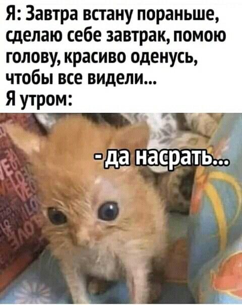 �������� ������� ����))