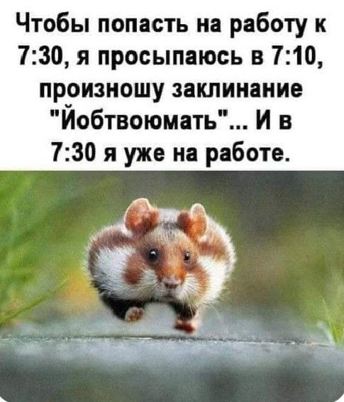 Коротко о том, как я собираюсь на работу))