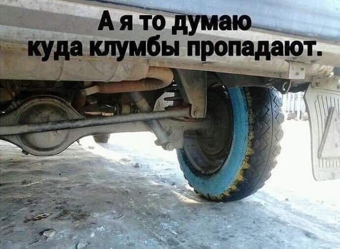 �� ���� � ��� ��� ����� �������
