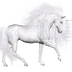 WeltkindSc