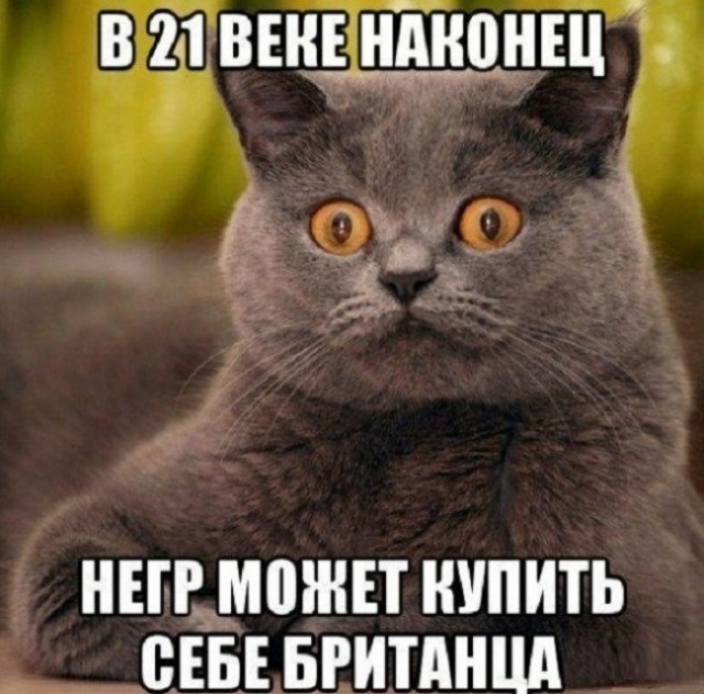 � ����� ����� �����?)