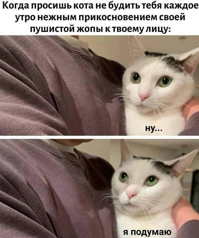 �������� �� ���, ����� ���� "���"