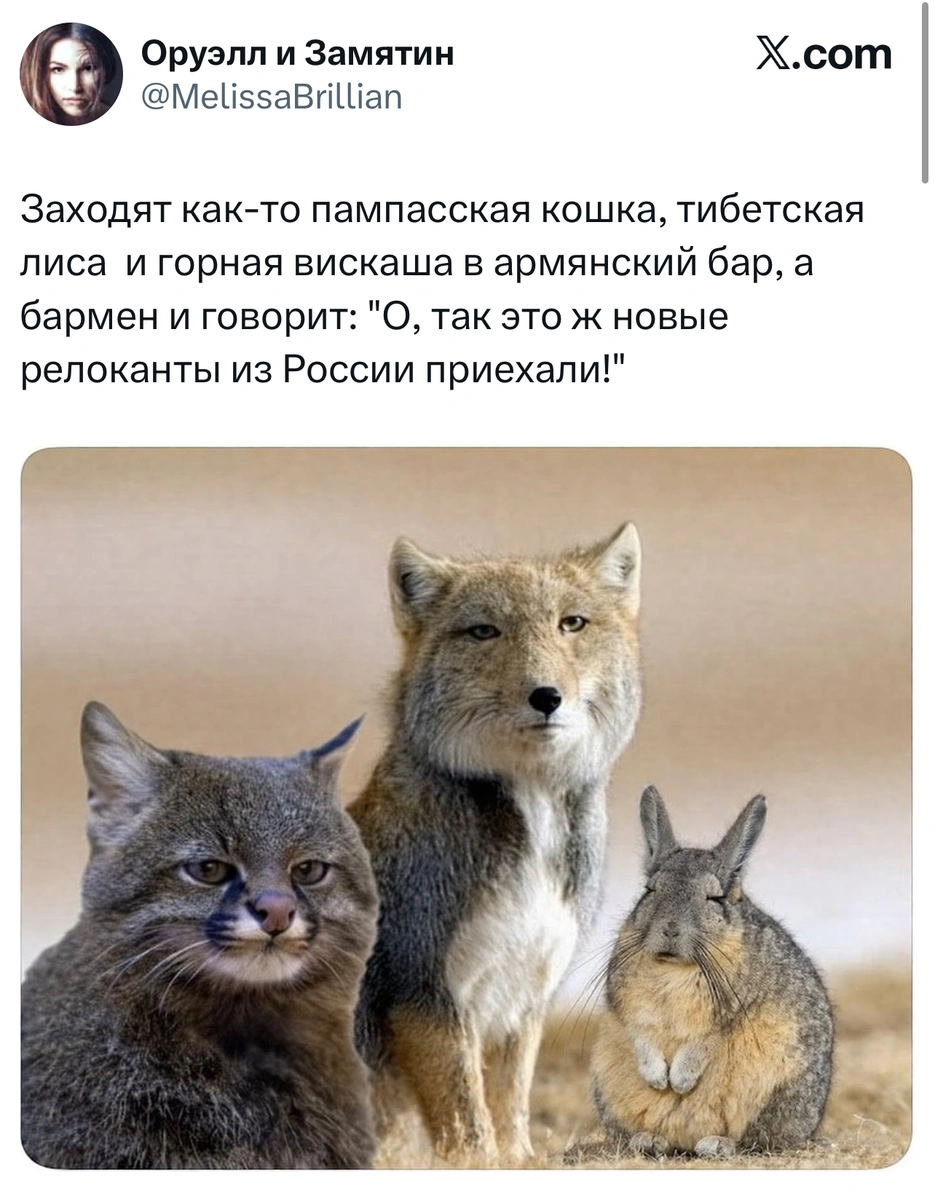 Here are the memes - Series Memes
, Humor, Picture with text, Memes, Strange humor, Longpost