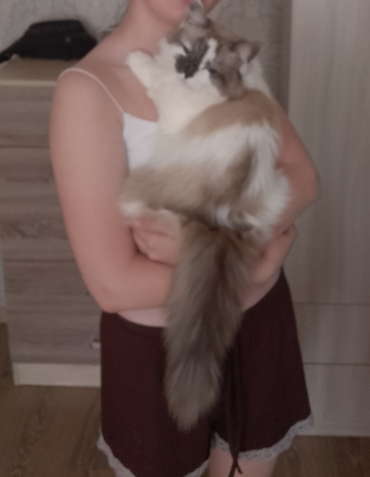 Фото моё)