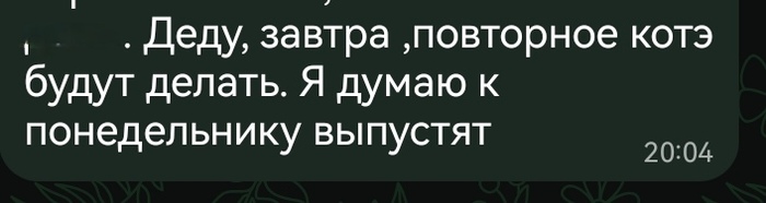������ ����