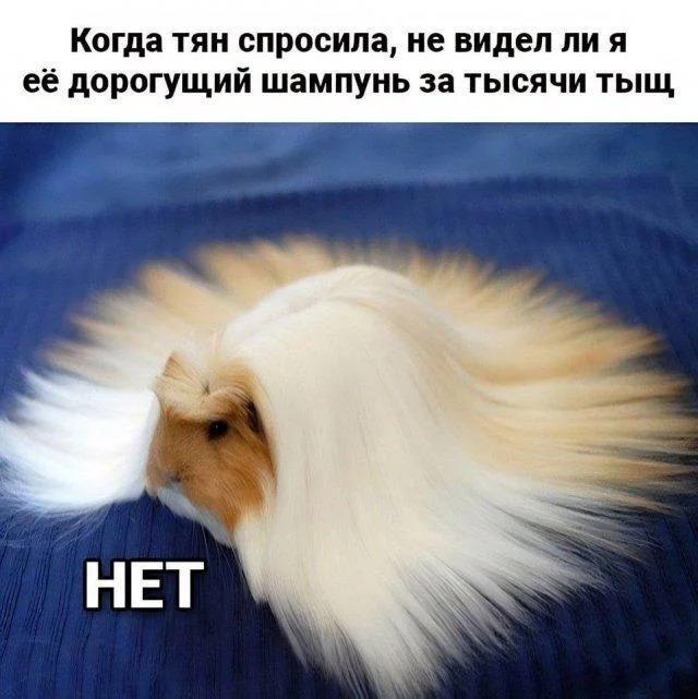 Well, here are some new memes) - Series Memes
, Humor, Picture with text, Memes, Longpost