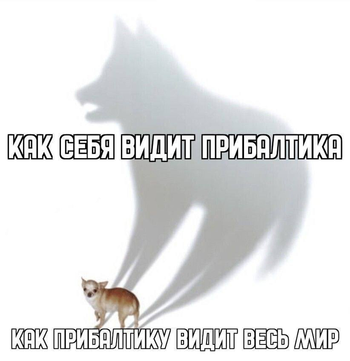 Не "аф-аф", а "ауф-ауф"