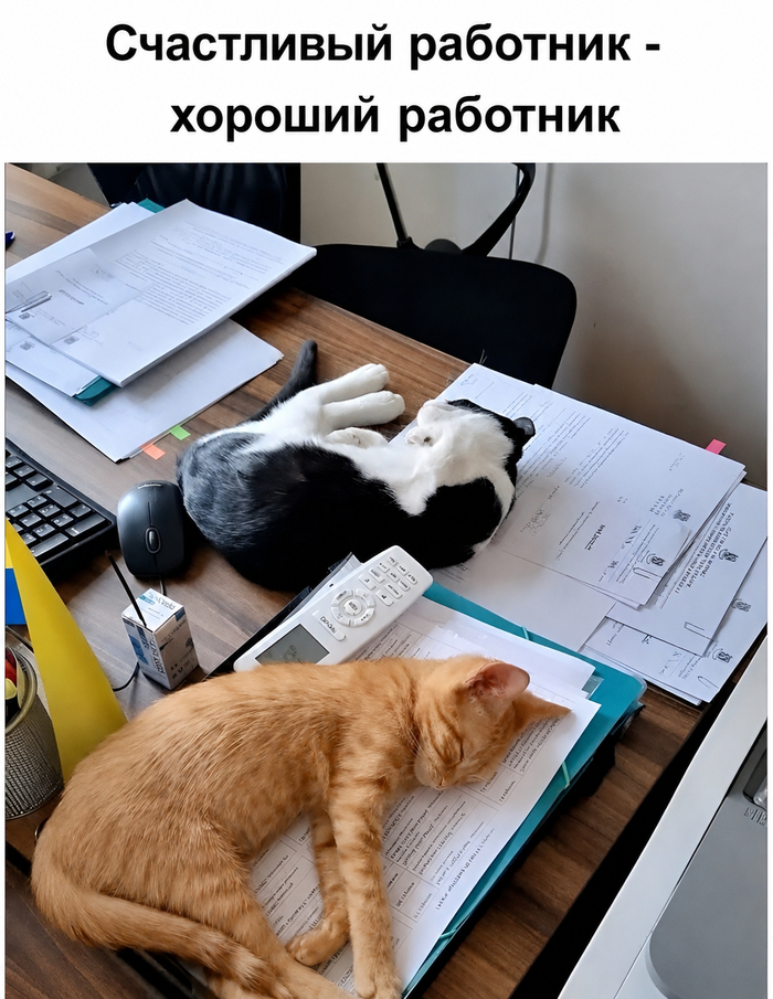 ���������� �������� - ������� ��������