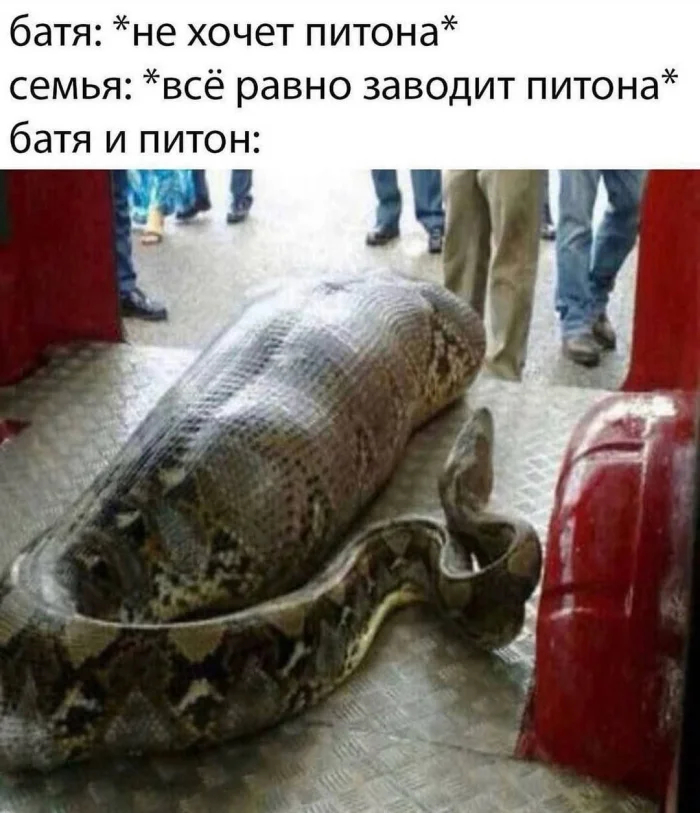 zizdxdne.jpg