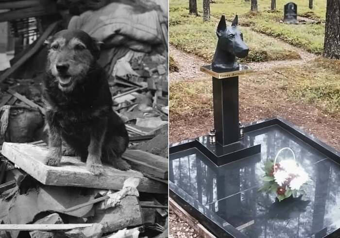 Жужа...