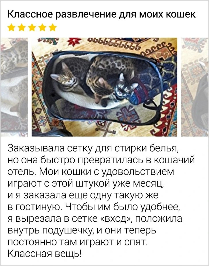 Коты лучше знают применение твоим покупкам