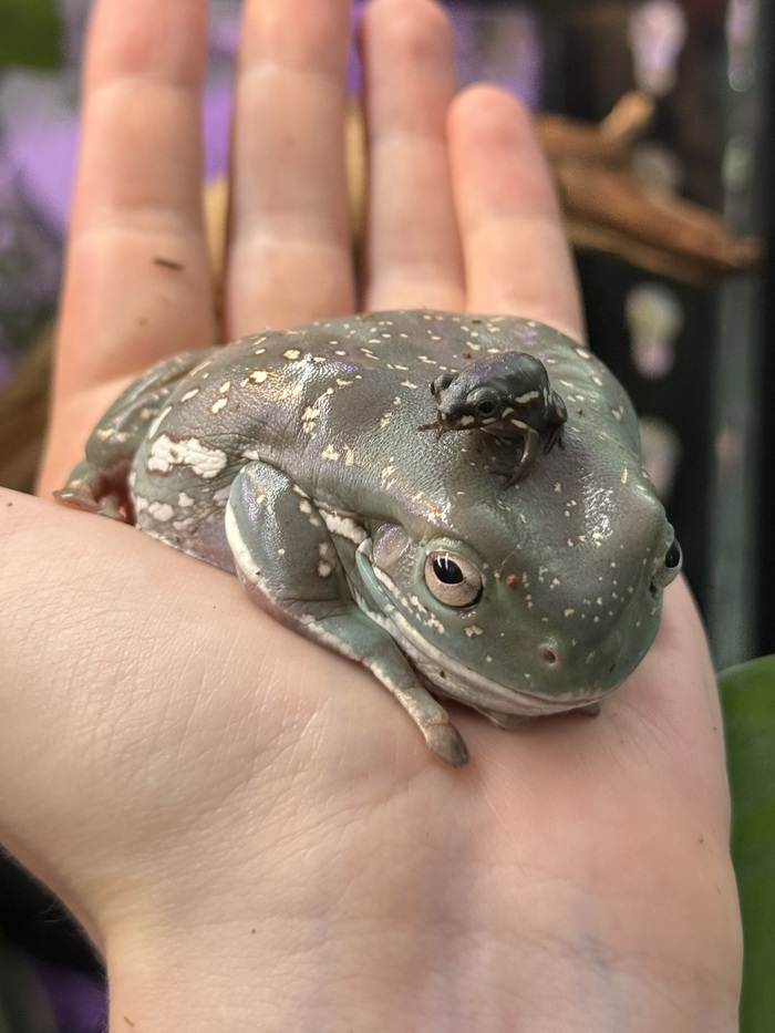 ���� � ������