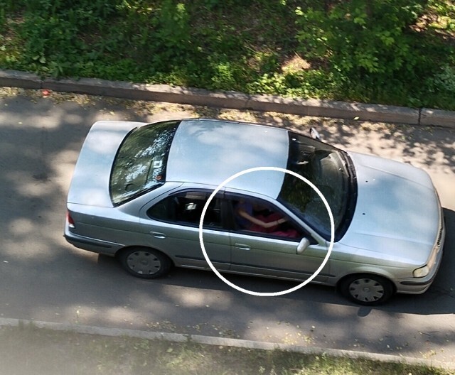 Новый вид млекопитающих