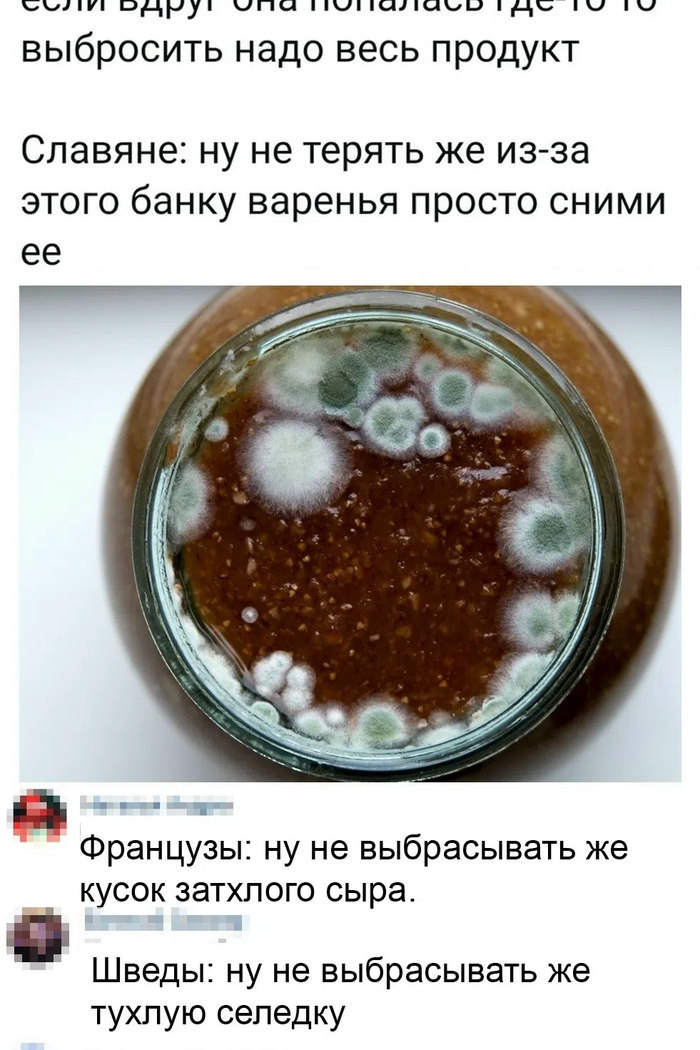 ������������ ��������