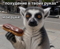 ������� �2