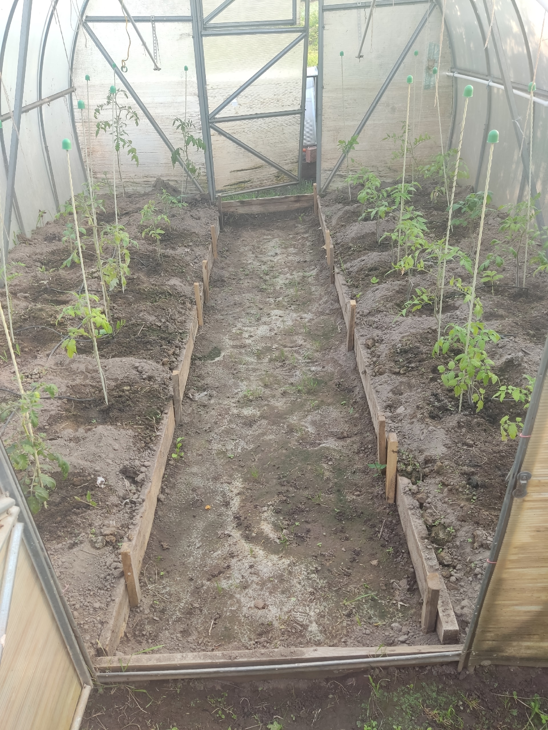 Automation of watering on ESPhome - My, Home assistant, Esp8266, Google chrome, Longpost