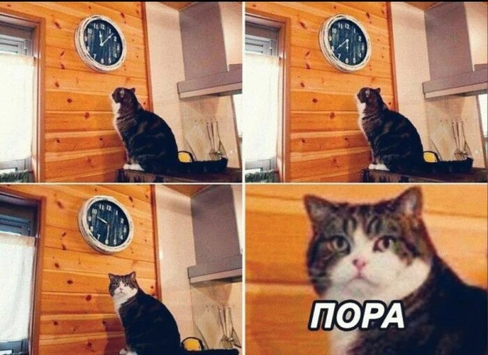 ����� ��������� �� �����