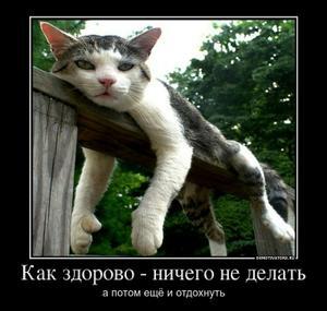 ��� �������...