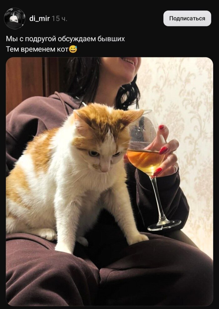 ���������� �������