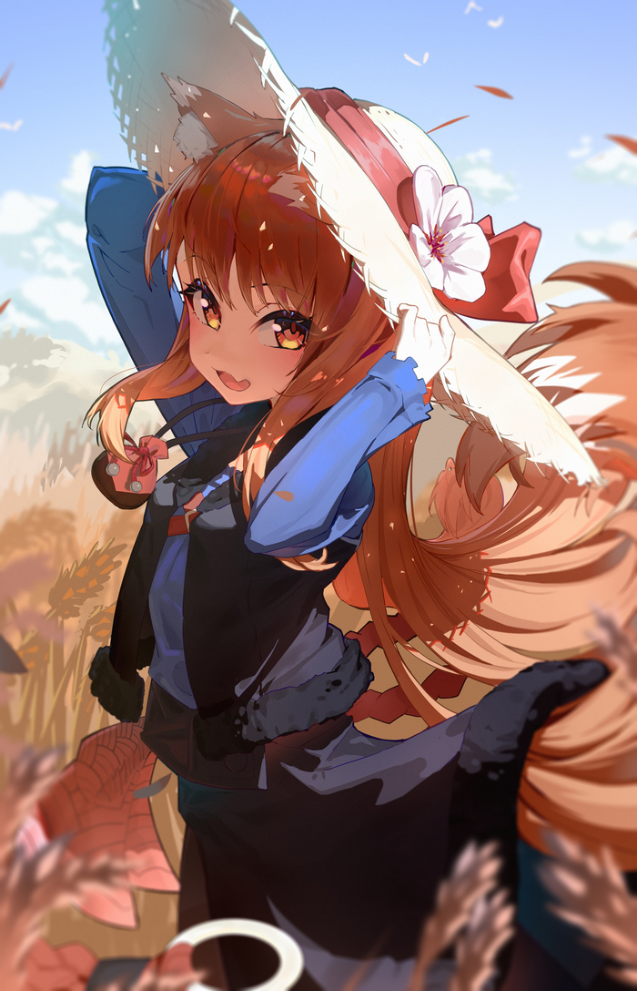 Holo