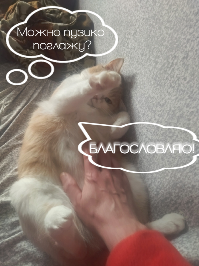 ��� �����������