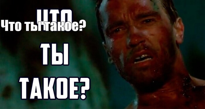 ���� ����������� � ���� �����: @DmitrySolovyov, ����������� ������������ �� ����