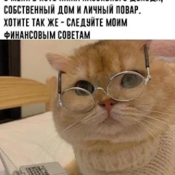 user10748690