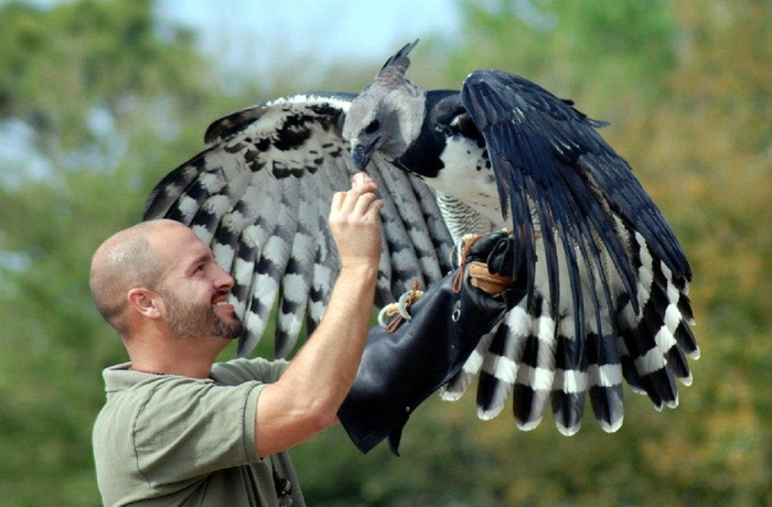 <a href="https://pikabu.ru/story/paukoobraznyie_obezyanyi_ikh_khvost_stal_polnotsennoy_tretey_rukoy_i_yeto_vyiglyadit_zhutkovato_14096753?u=https%3A%2F%2Fpikabu.ru%2Fstory%2Fyuzhnoamerikanskaya_garpiya_tiran_dzhungley_yetot_monstr_schitaetsya_silneyshim_orlom_sovremennosti_10202151%3Futm_source%3Dlinkshare%26utm_medium%3Dsharing&t=%D0%AE%D0%B6%D0%BD%D0%BE%D0%B0%D0%BC%D0%B5%D1%80%D0%B8%D0%BA%D0%B0%D0%BD%D1%81%D0%BA%D0%B0%D1%8F%20%D0%B3%D0%B0%D1%80%D0%BF%D0%B8%D1%8F&h=88f3107ede0d35947e7800cc54855f4837fb1be4" title="https://pikabu.ru/story/yuzhnoamerikanskaya_garpiya_tiran_dzhungley_yetot_monstr_schitaetsya_silneys..." target="_blank" >���������������� ������</a> � ������� ������������ ������ ������������� �������. ��� �� �������� �� ��������� � ����������� ���������� �����.