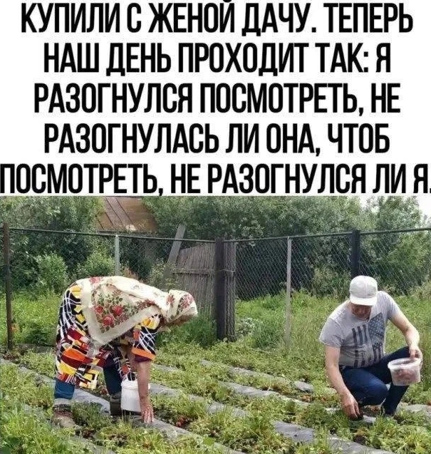 ���� - ��� ����� ��� ����� ���������