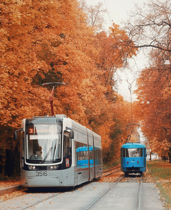 Tatra