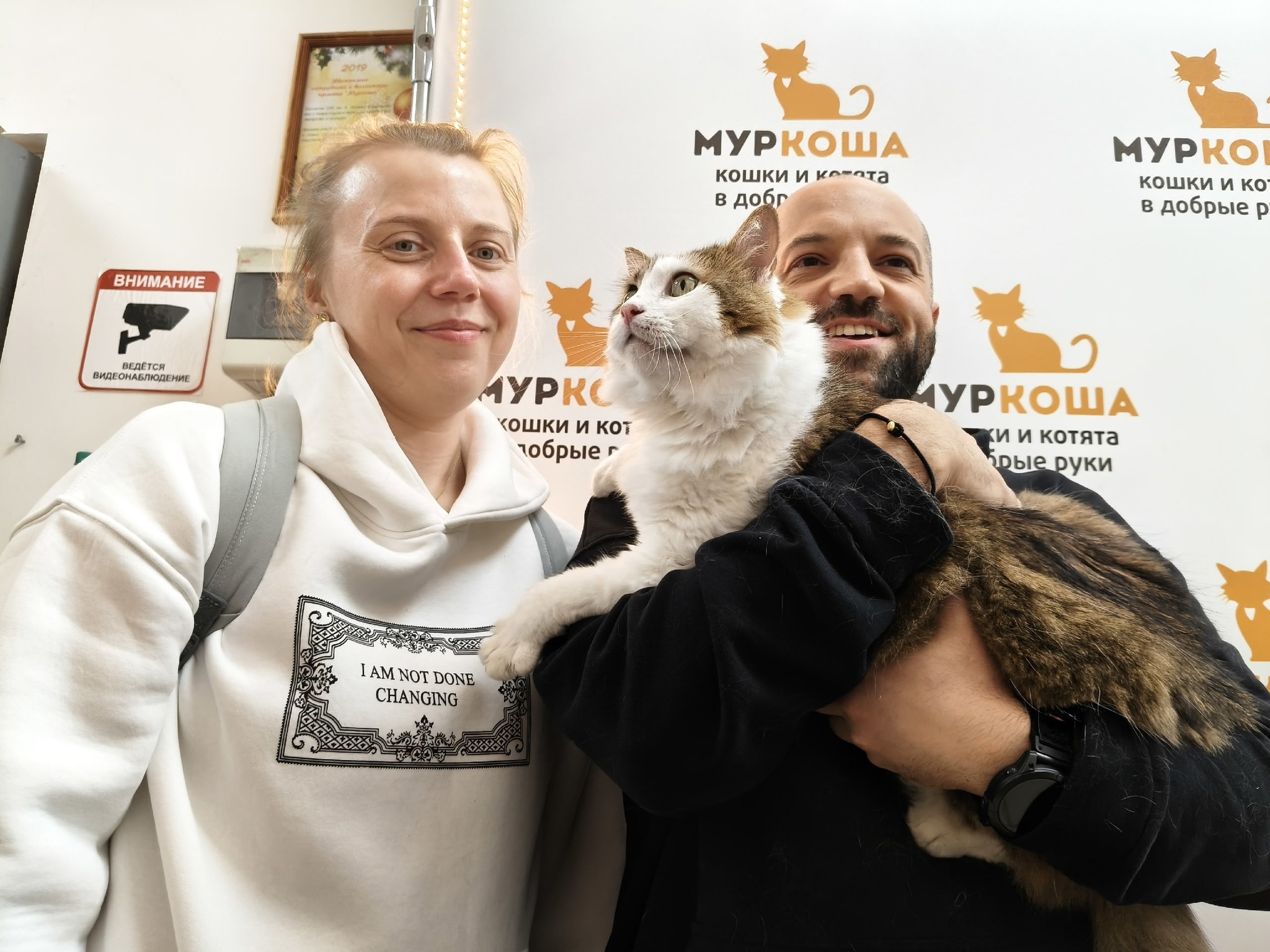8 kittens have gone home in the last two weeks! - Series Found a home, My, Moscow, Good league, cat, In good hands, Murkosh shelter, Kittens, Paws, Cat lovers, Kindness, Pets, Short videos, Vertical video, Found a home, The photo, Helping animals, Events, Happiness, Miracle, I share my joy, Video, Longpost