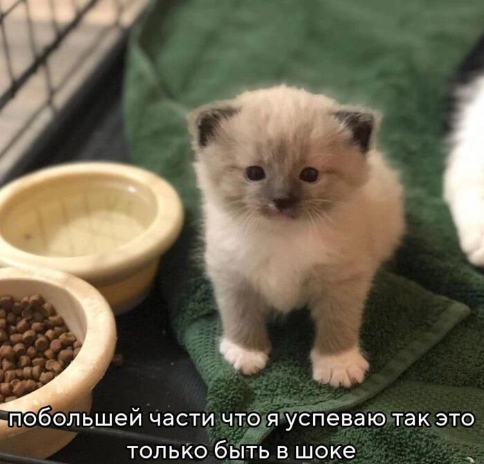���� ���-��