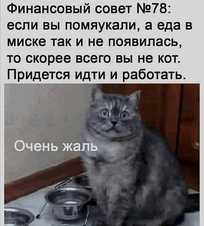 ��� ���...�����