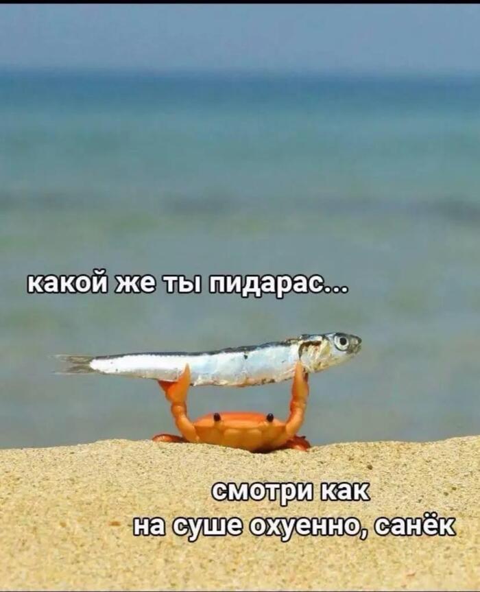 ������� �������,��