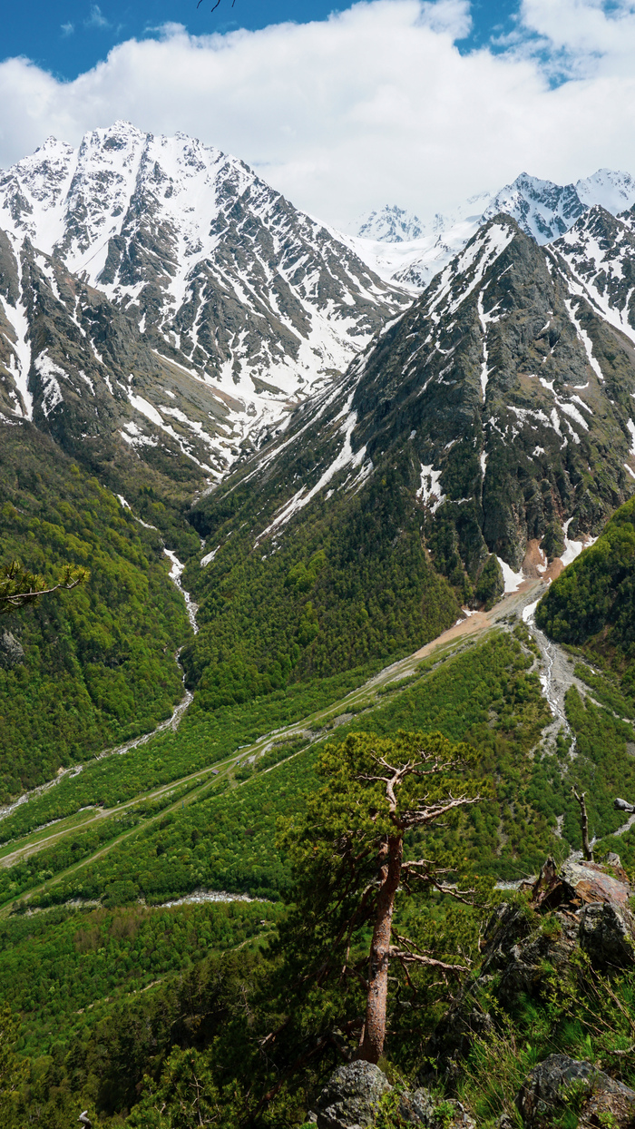 � ������ ������� ��� �� ������� Alpen Gold
