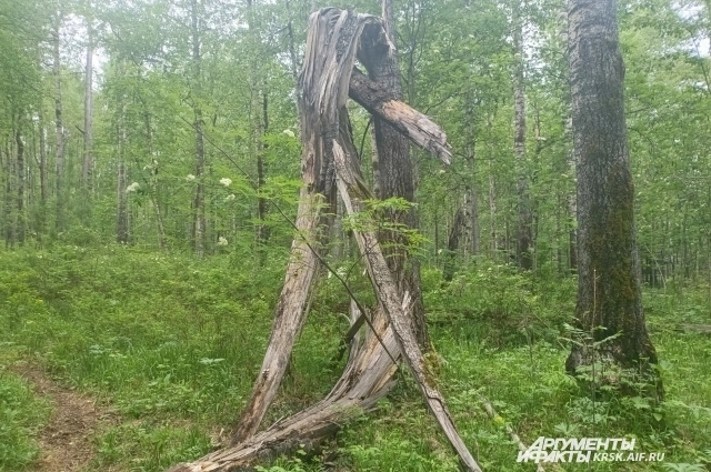 ������� ���. ����: <a href="https://pikabu.ru/story/opasno_korrespondentyi_aifru_uznali_detali_marshruta_usoltsevyikh_14104644?u=https%3A%2F%2Fkrsk.aif.ru%2F&t=krsk.aif.ru&h=07f9054803b1c08b960038183a0975edff2972f4" title="https://krsk.aif.ru/" target="_blank" rel="nofollow noopener">krsk.aif.ru</a>/ ������� �����������