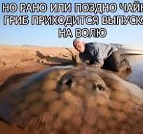 ��� 10 ����� ���������� ������ � ������ �����