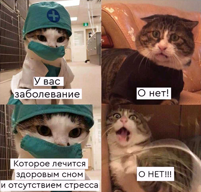 ������ ������� ����� � ������