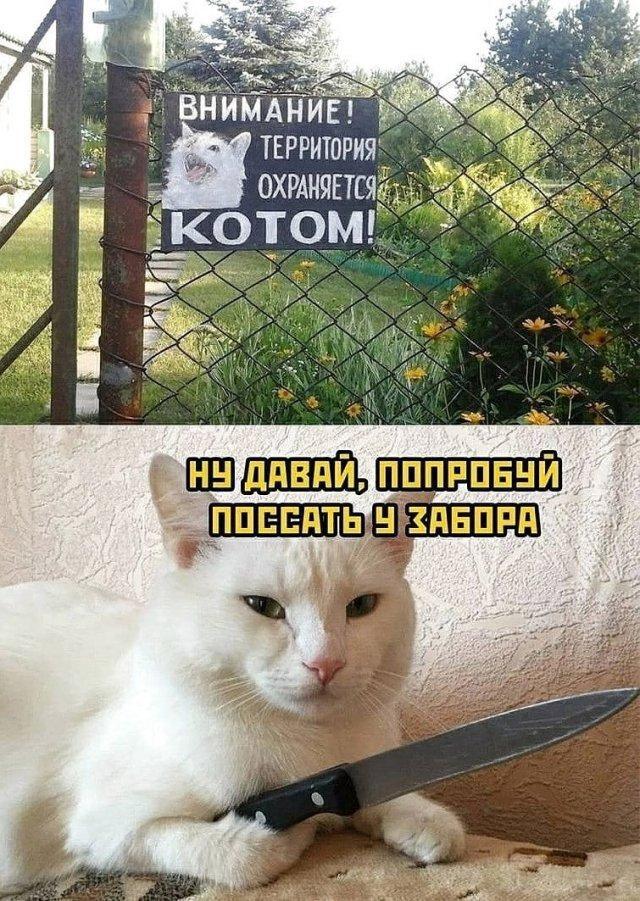 ������ ������� ����� � ������