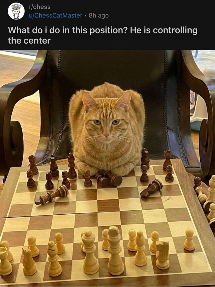 ���������� �������?