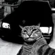 Аватар пользователя KarlsonTaker