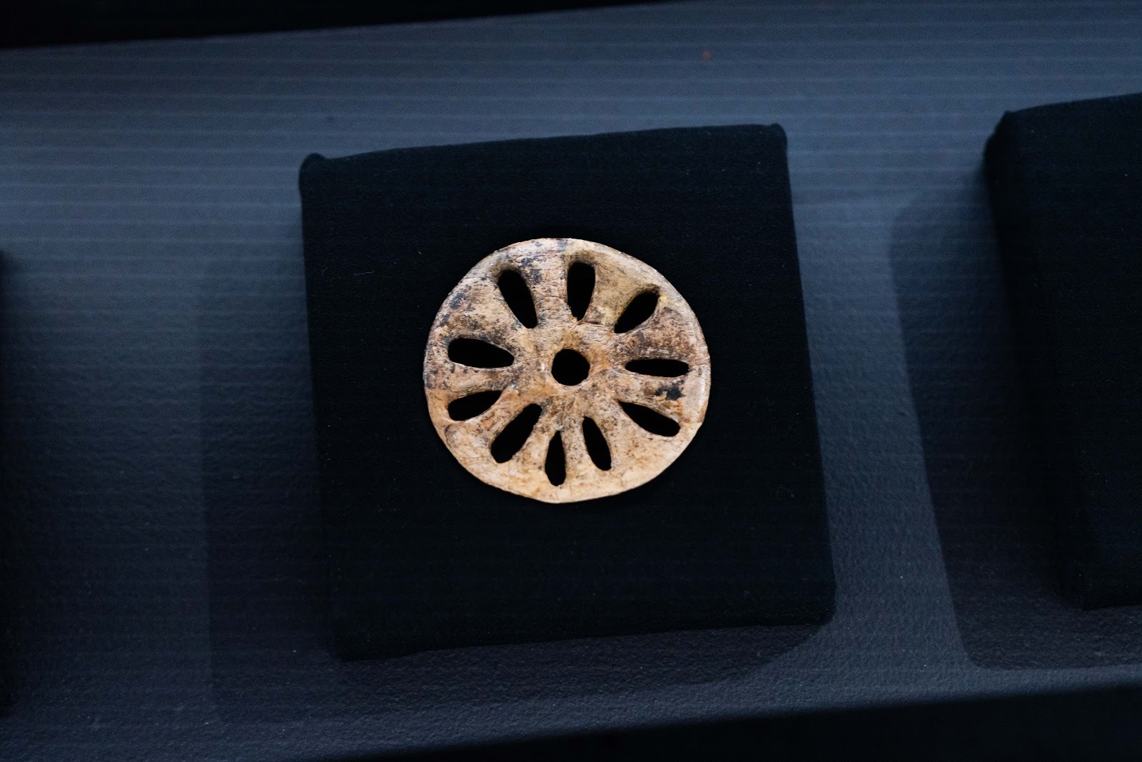 Sungir site. Upper Paleolithic in the central Russian Plain - My, Vladimir region, Vladimir city, Museum, Sungir, Stone Age, Ancient people, Burial, Mammoth tusks, sights, History (science), Archaeological excavations, Longpost