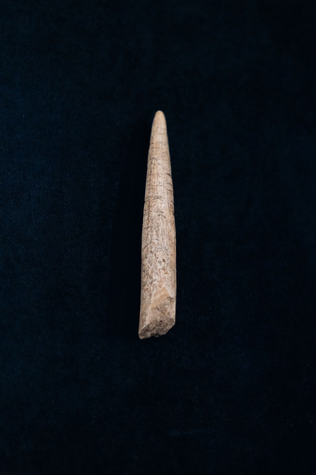 Sungir site. Upper Paleolithic in the central Russian Plain - My, Vladimir region, Vladimir city, Museum, Sungir, Stone Age, Ancient people, Burial, Mammoth tusks, sights, History (science), Archaeological excavations, Longpost