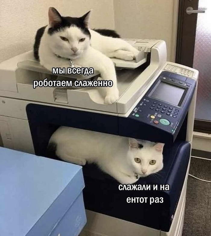 Сколько стоит хаос: как объяснить боссу необходимость таск-менеджера 1