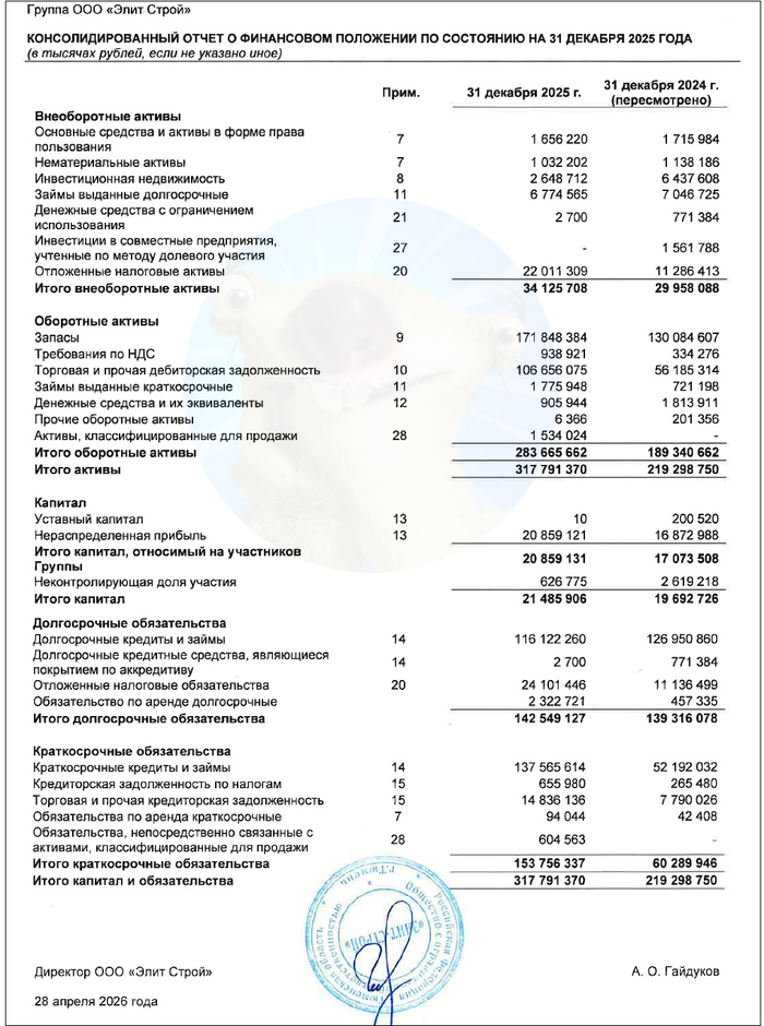 Источник: отчет ООО «Элит Строй» по МСФО за 2025