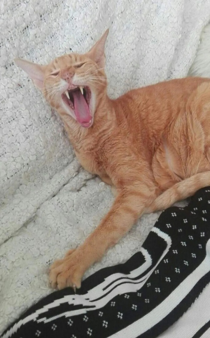 ��� ������ ��������� ��� ��� �� ������ ��