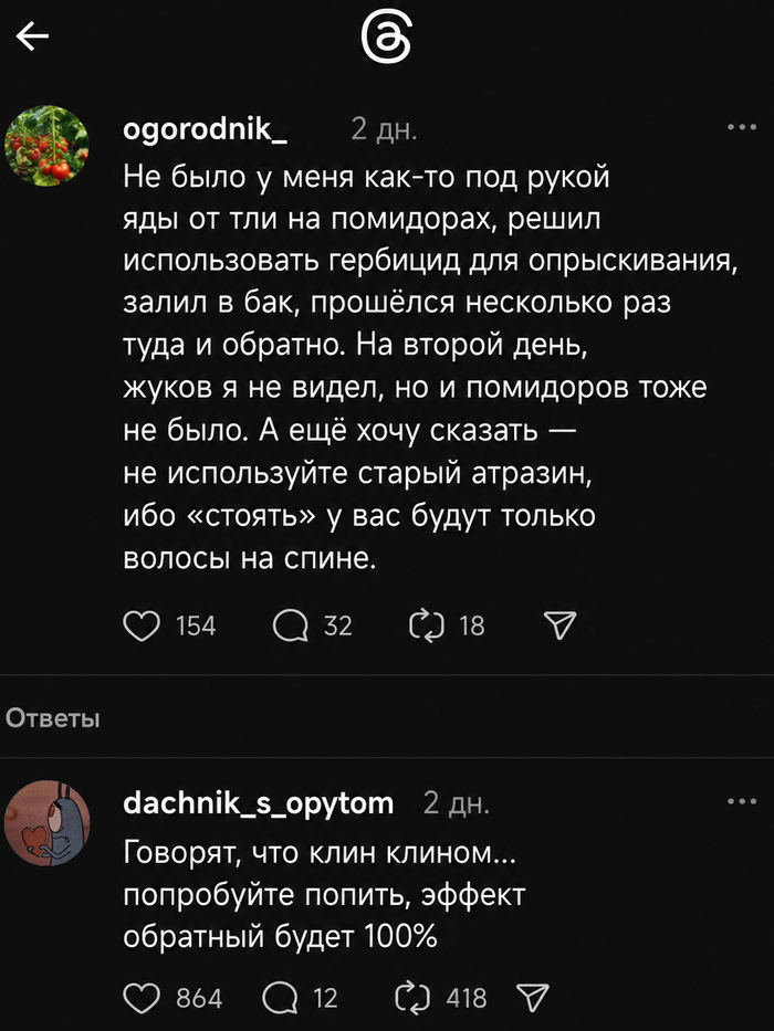 Помидоры вырастут?!